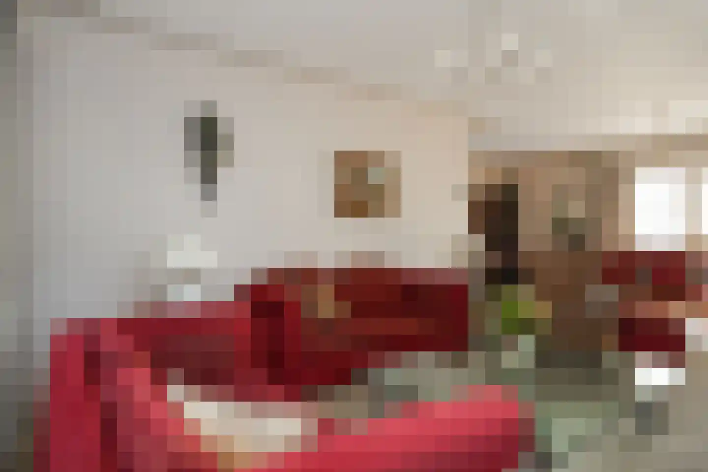 Rooijsestraat 34 a Dreumel thumbnail 11