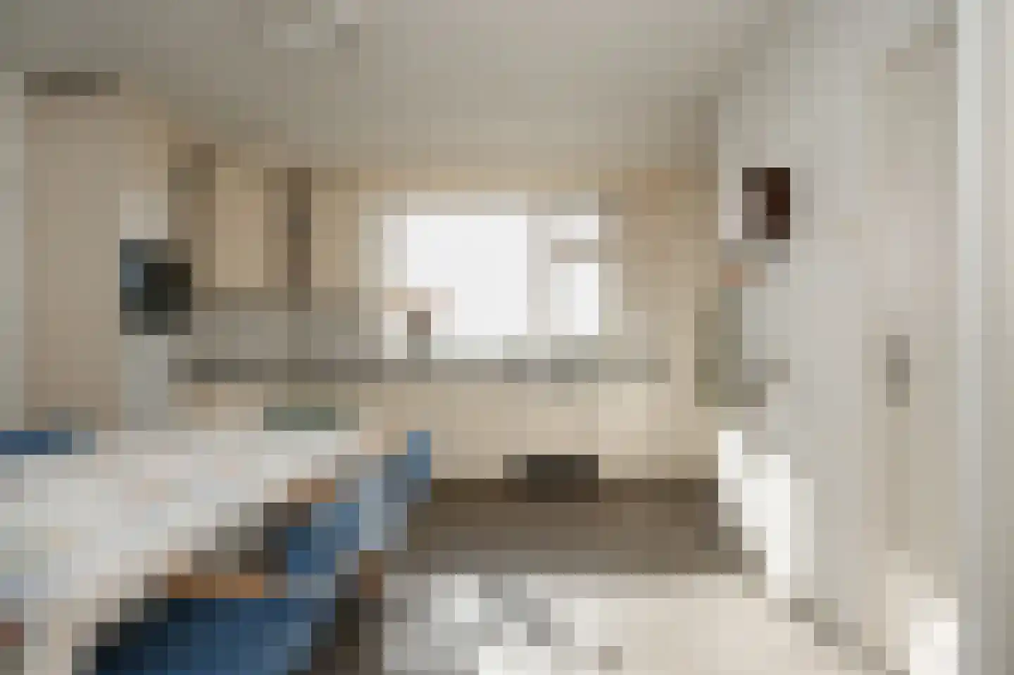 Rooijsestraat 34 a Dreumel thumbnail 18