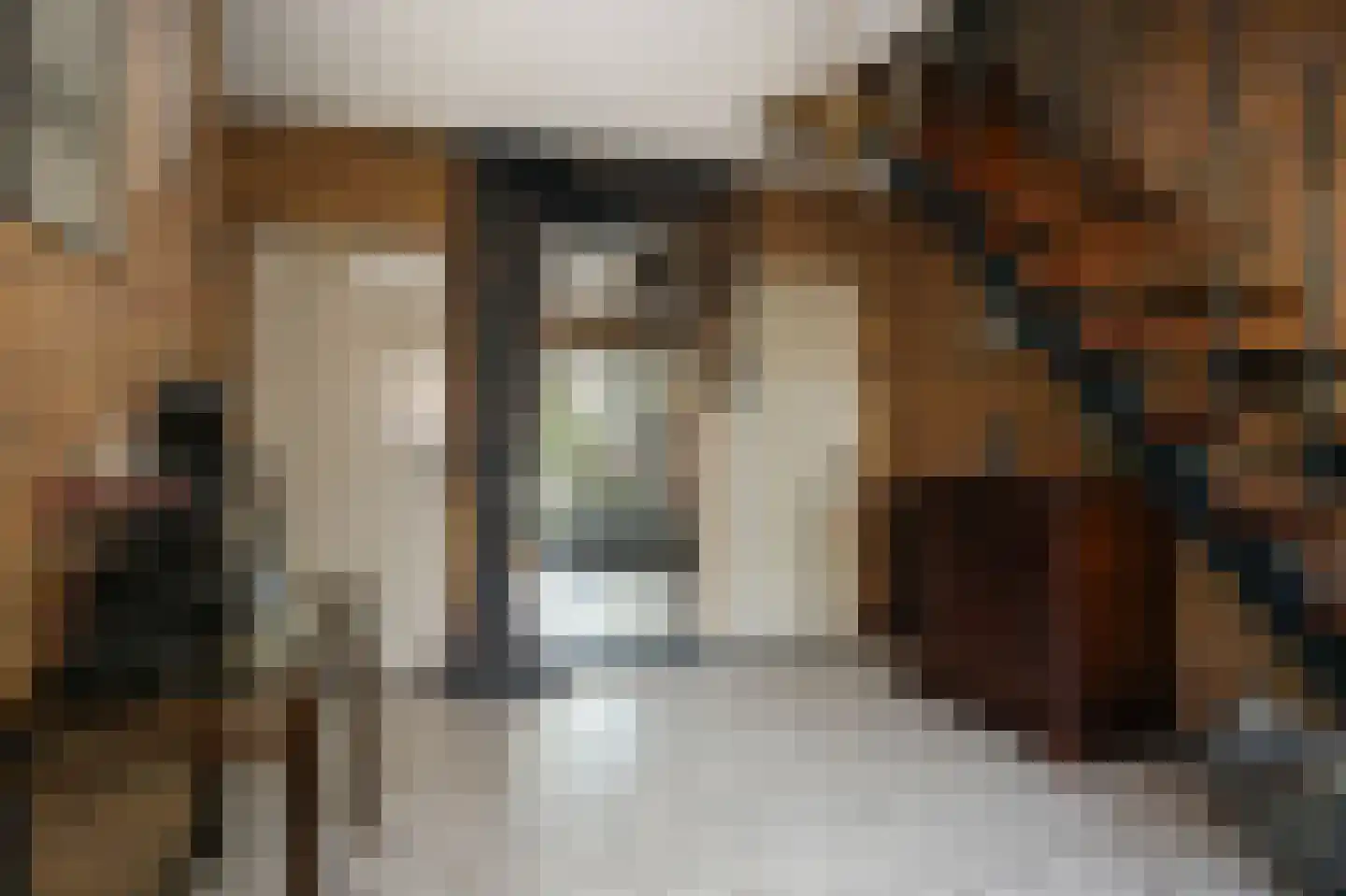 Rooijsestraat 34 a Dreumel thumbnail 24