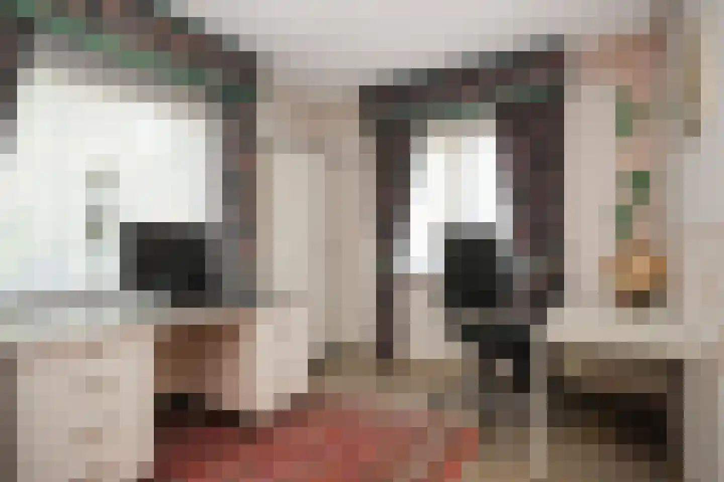 Rooijsestraat 34 a Dreumel thumbnail 25