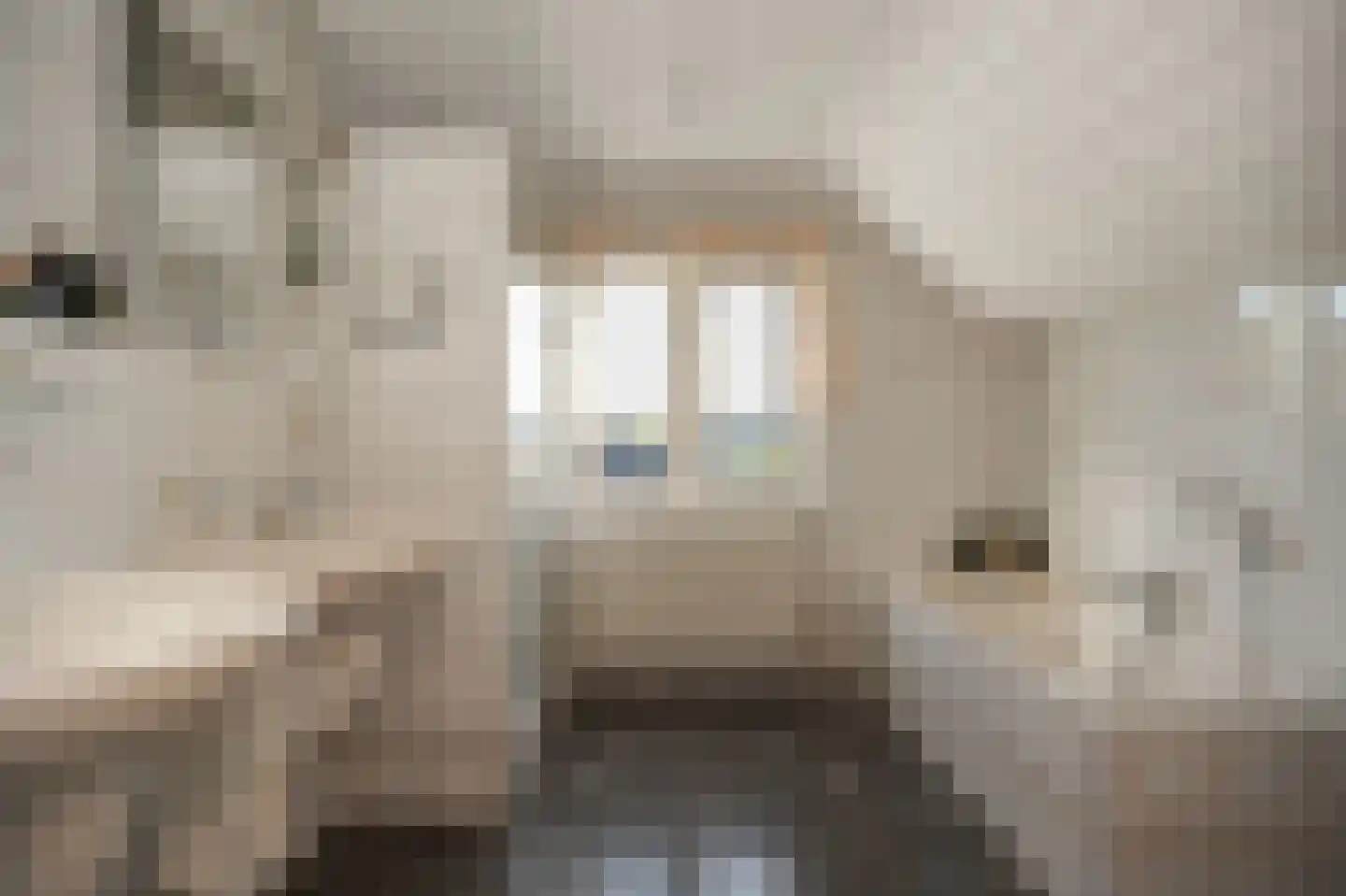 Rooijsestraat 34 a Dreumel thumbnail 33
