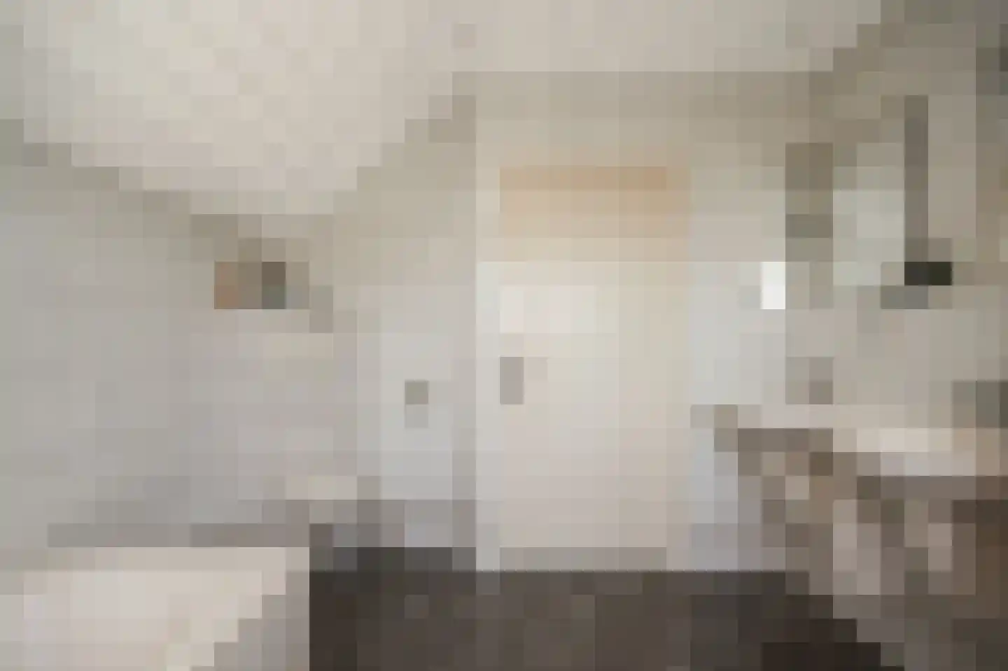 Rooijsestraat 34 a Dreumel thumbnail 34