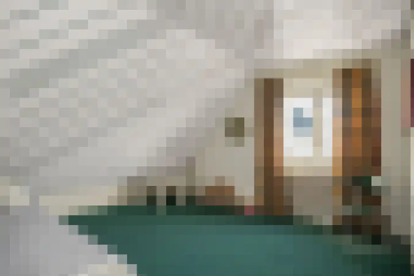 Rooijsestraat 34 a Dreumel thumbnail 36