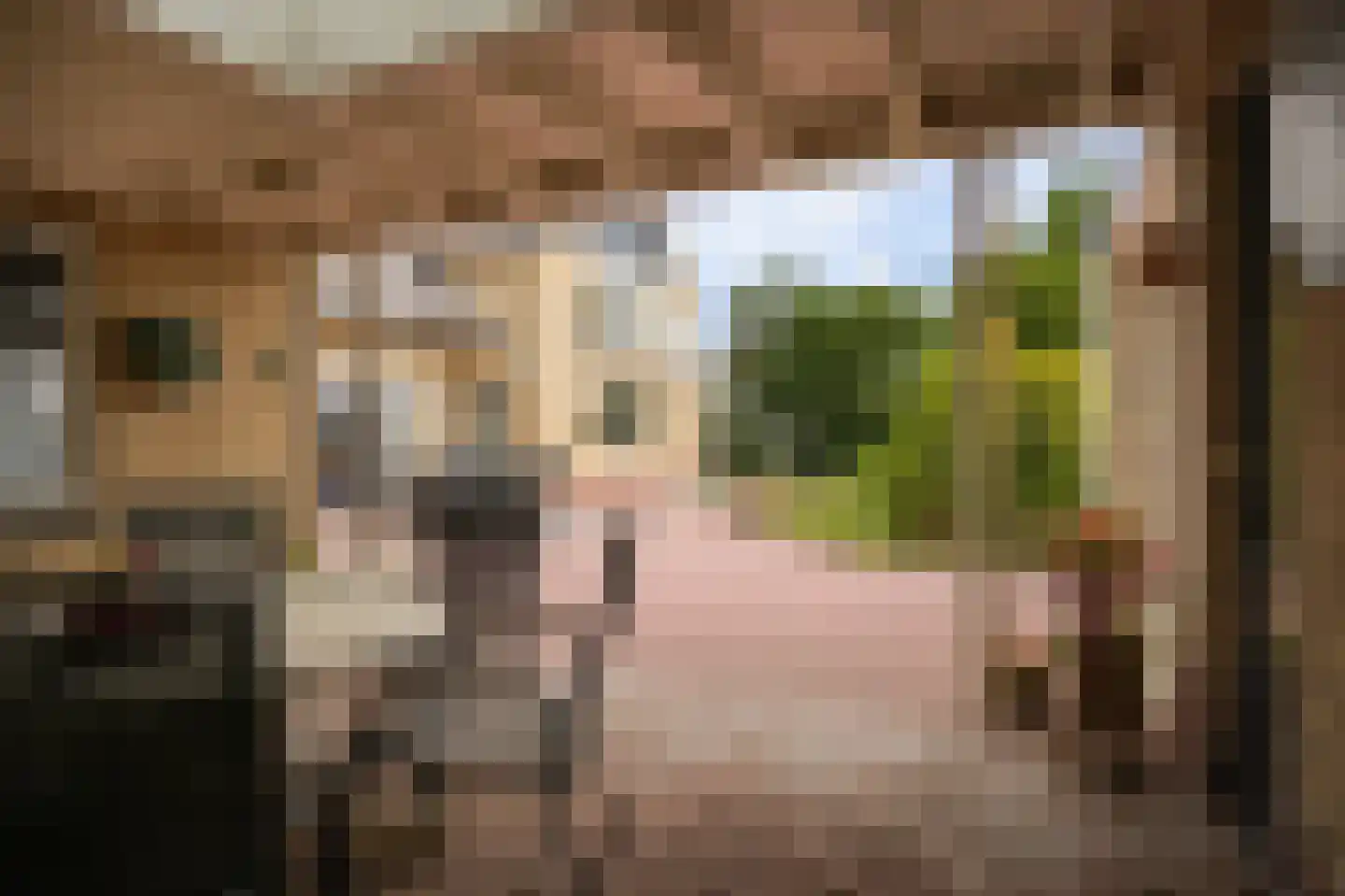 Rooijsestraat 34 a Dreumel thumbnail 53