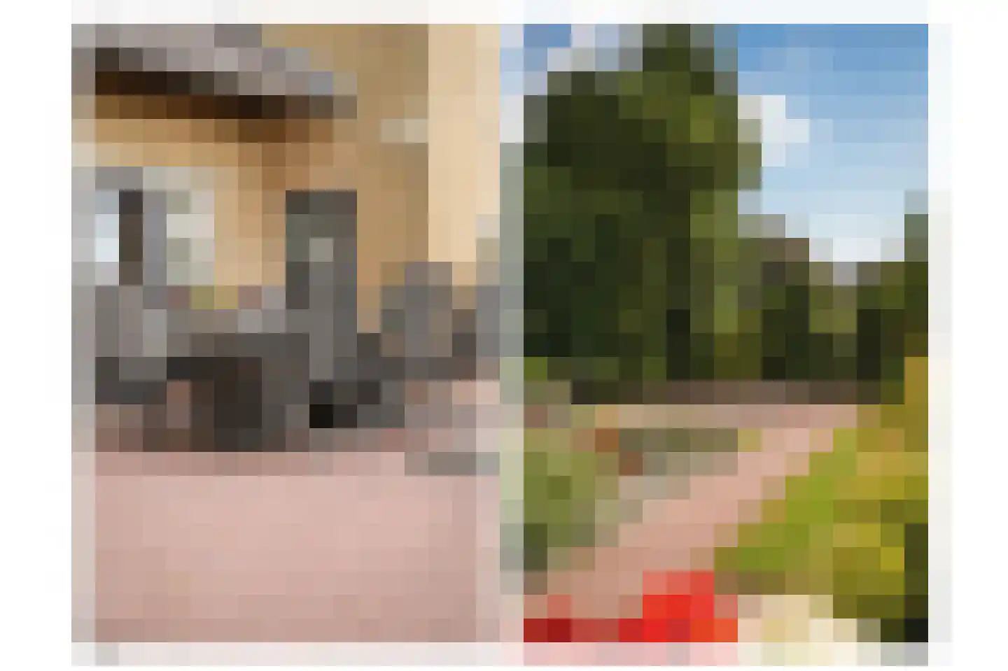Rooijsestraat 34 a Dreumel thumbnail 57