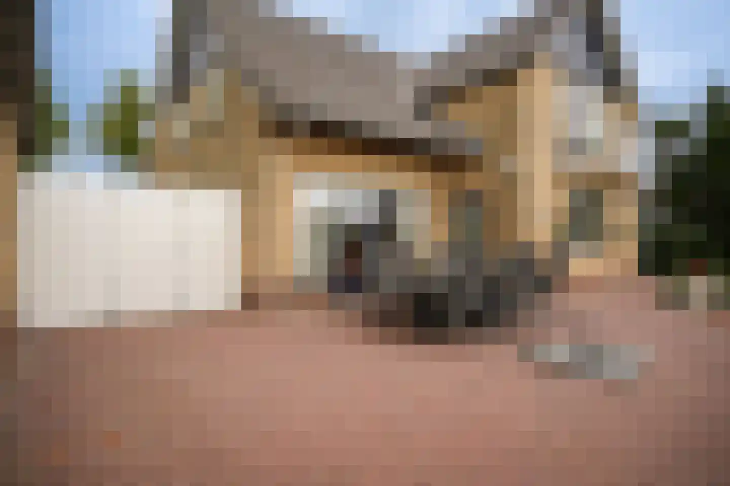 Rooijsestraat 34 a Dreumel thumbnail 59