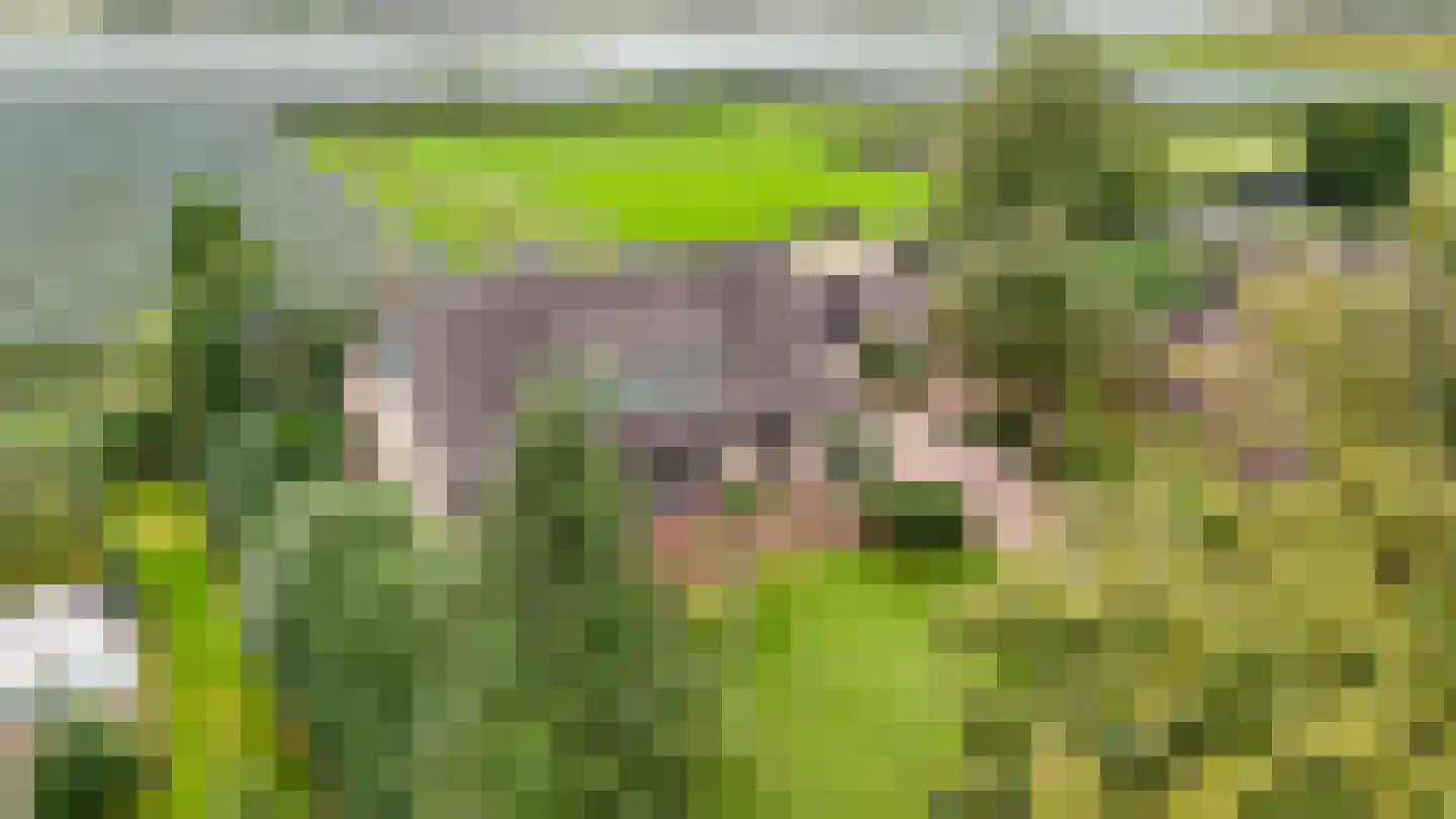 Rooijsestraat 34 a Dreumel thumbnail 67