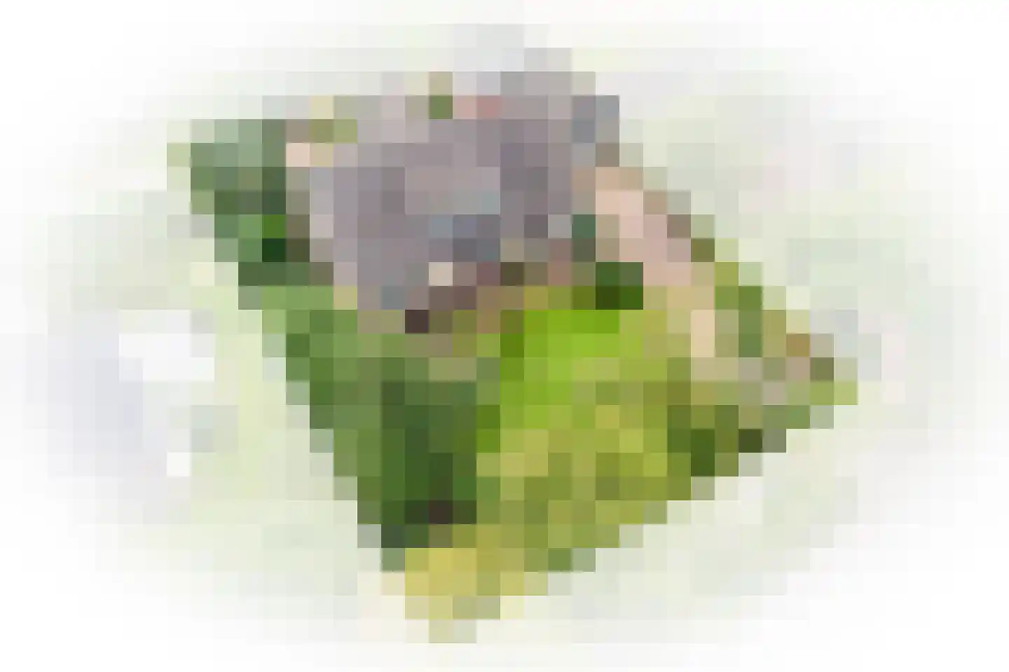 Rooijsestraat 34 a Dreumel thumbnail 69