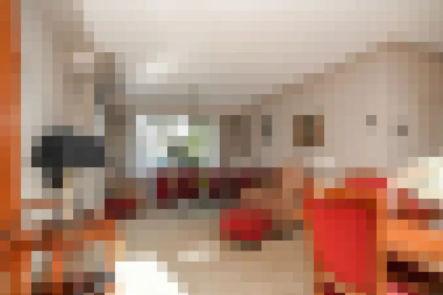 Rooijsestraat 34 a Dreumel thumbnail 9