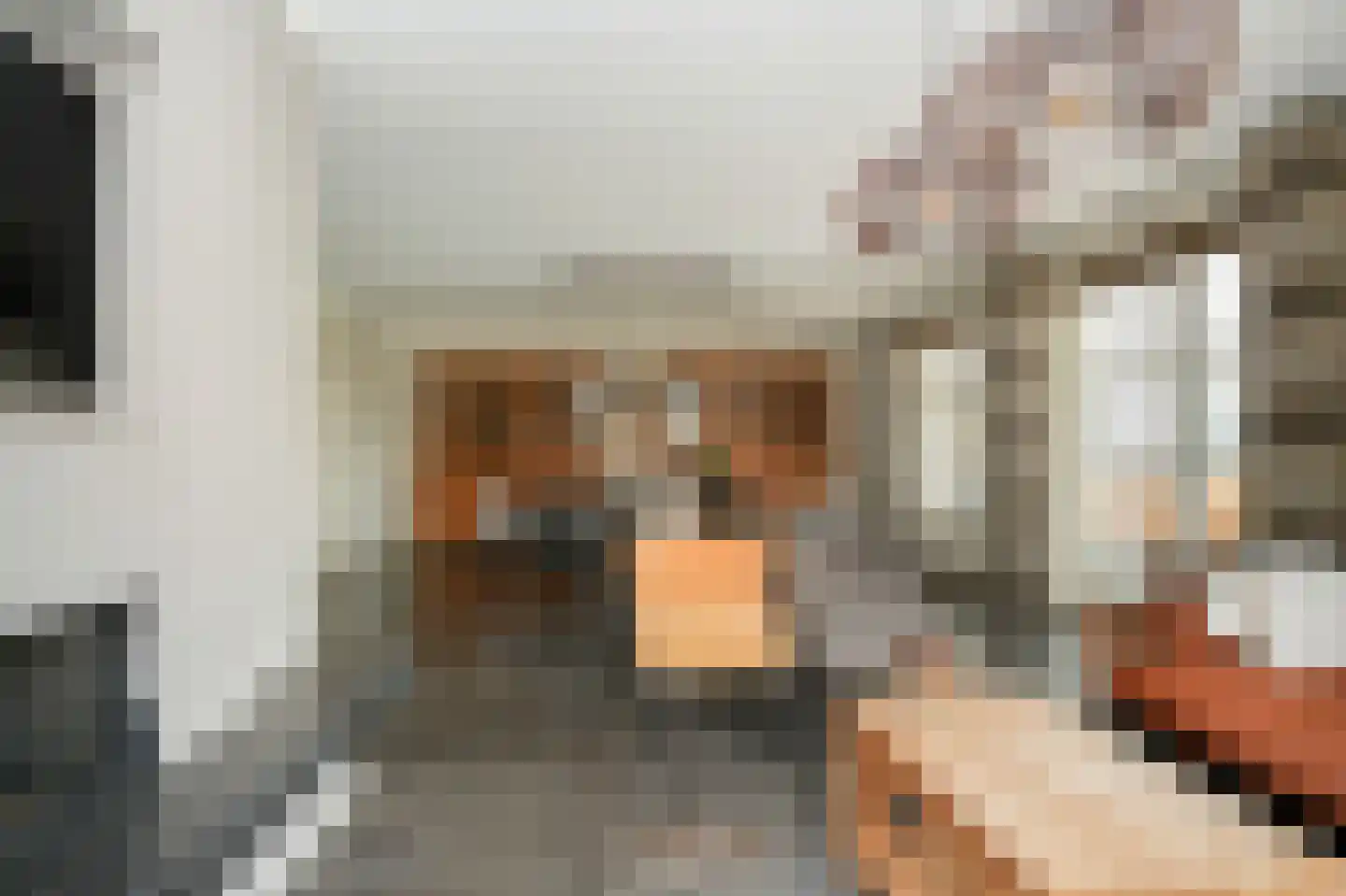 Rooijsestraat 35 Dreumel thumbnail 10