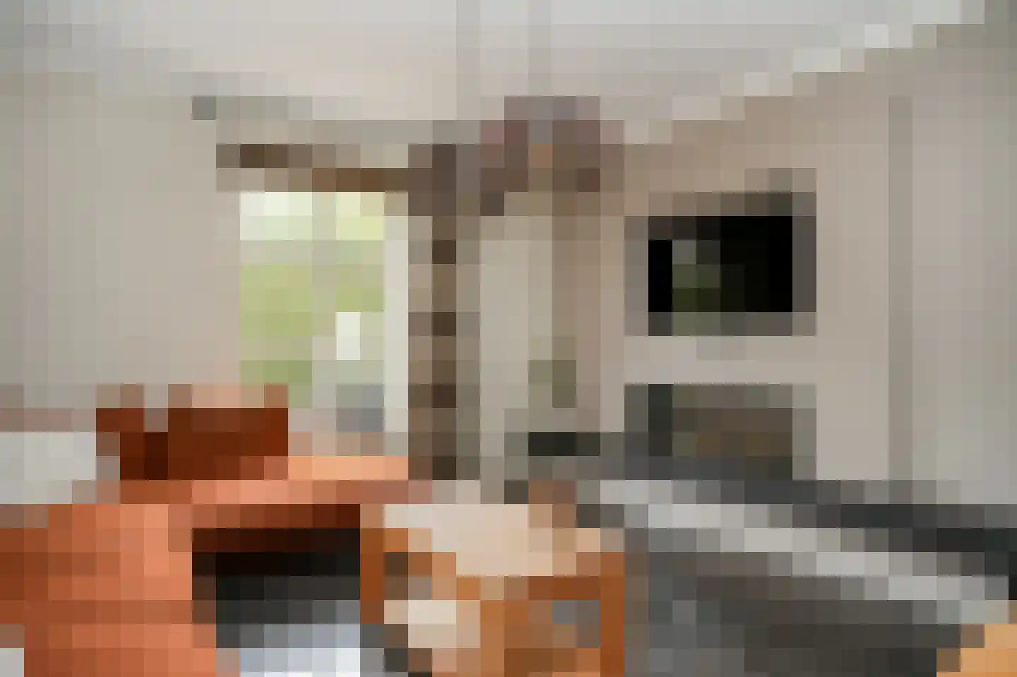 Rooijsestraat 35 Dreumel thumbnail 11