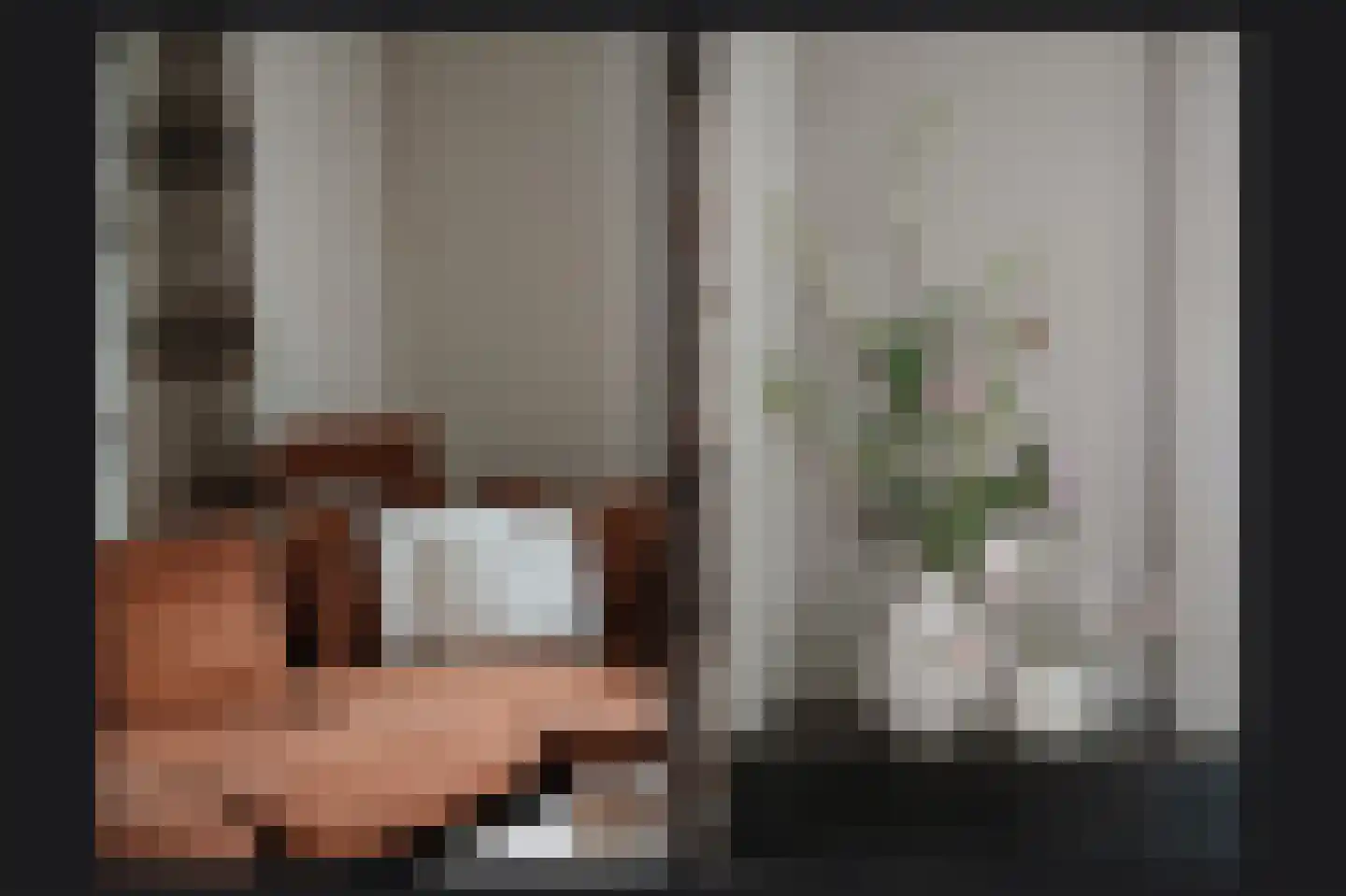 Rooijsestraat 35 Dreumel thumbnail 12