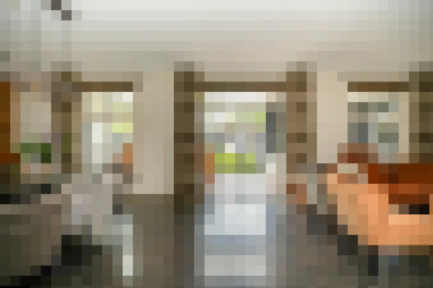 Rooijsestraat 35 Dreumel thumbnail 13