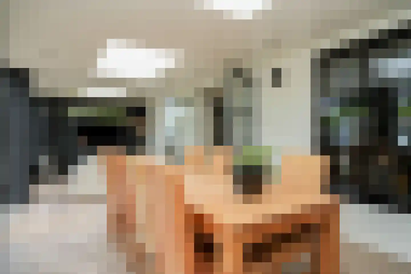 Rooijsestraat 35 Dreumel thumbnail 14
