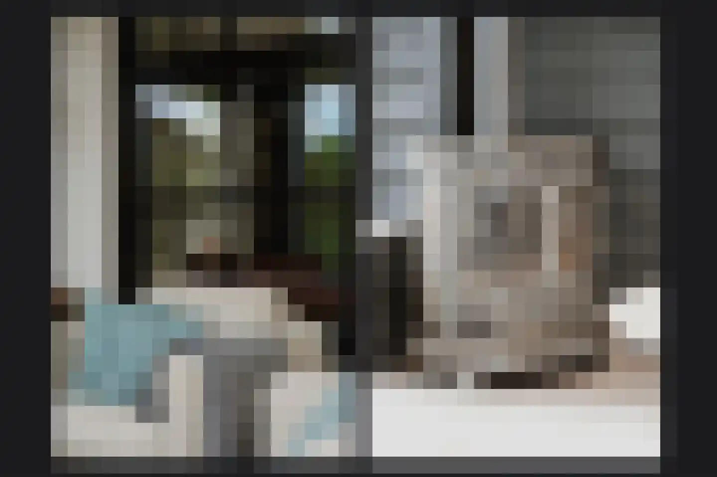 Rooijsestraat 35 Dreumel thumbnail 16