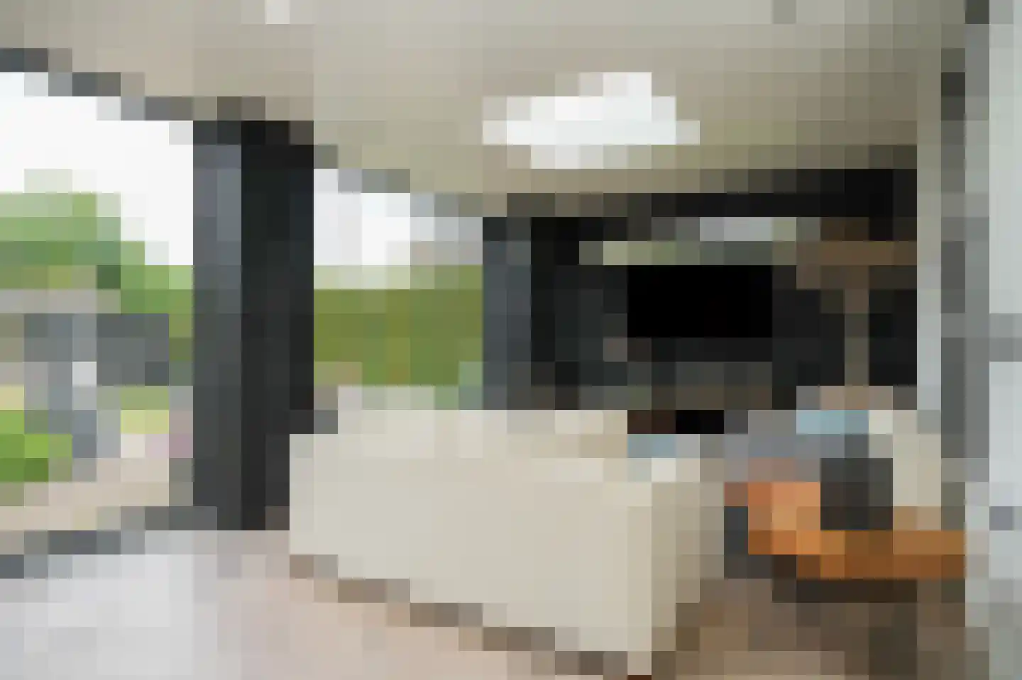 Rooijsestraat 35 Dreumel thumbnail 17