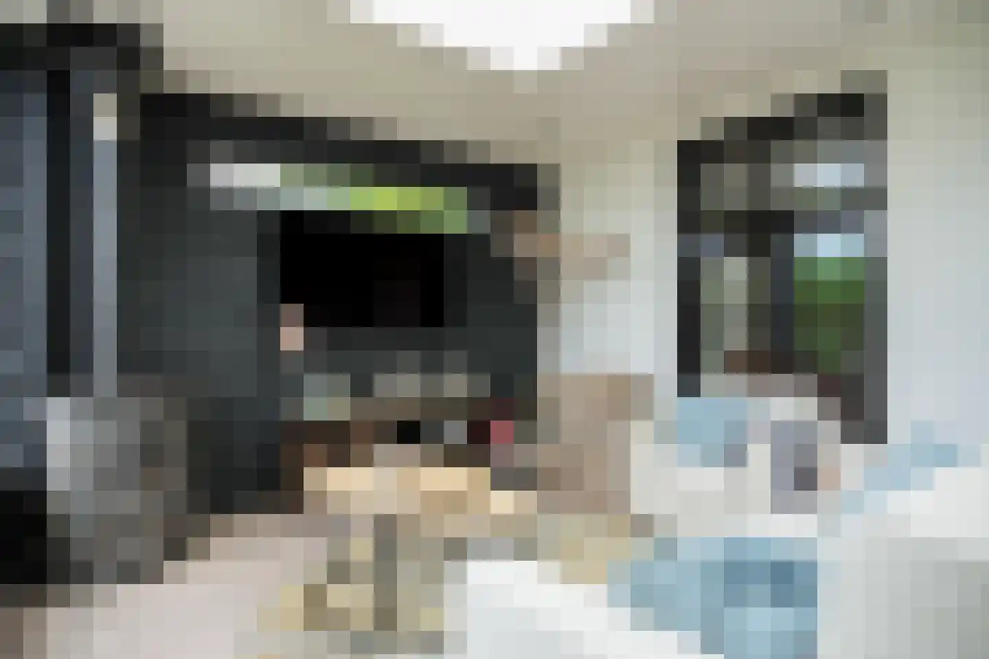 Rooijsestraat 35 Dreumel thumbnail 18