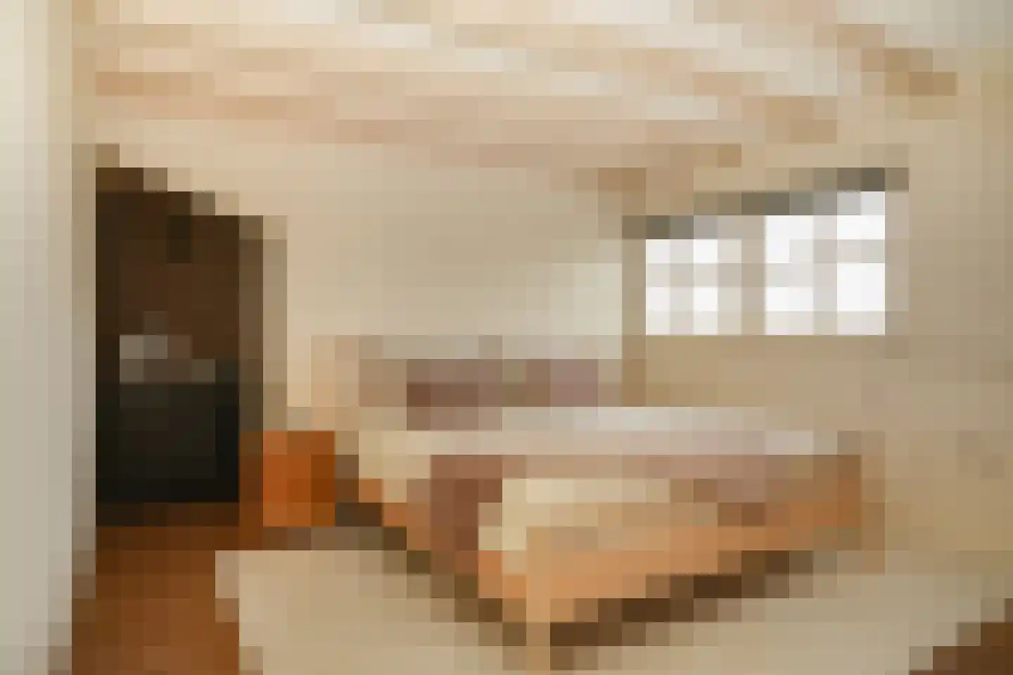 Rooijsestraat 35 Dreumel thumbnail 27