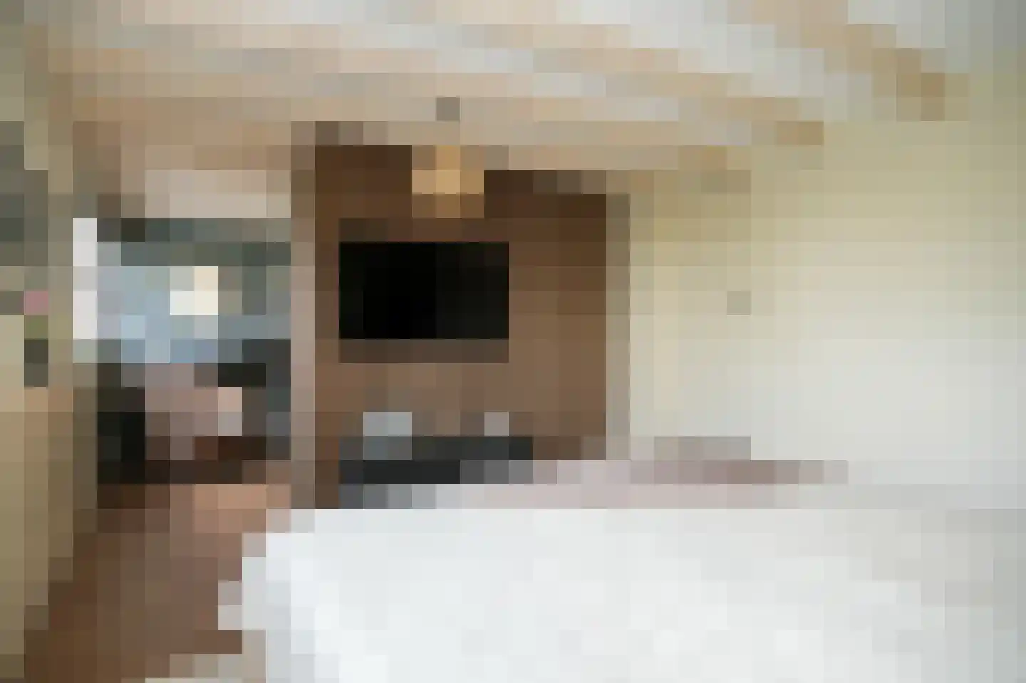 Rooijsestraat 35 Dreumel thumbnail 28
