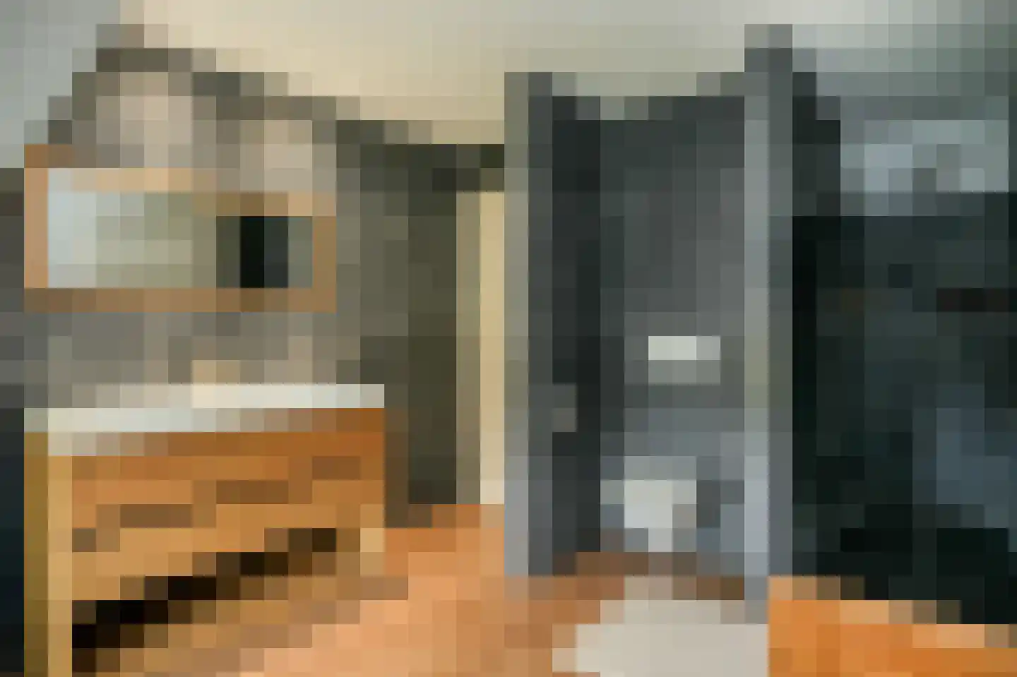 Rooijsestraat 35 Dreumel thumbnail 31