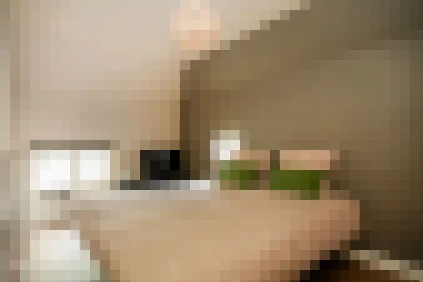 Rooijsestraat 35 Dreumel thumbnail 33