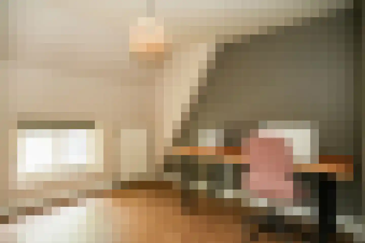Rooijsestraat 35 Dreumel thumbnail 34