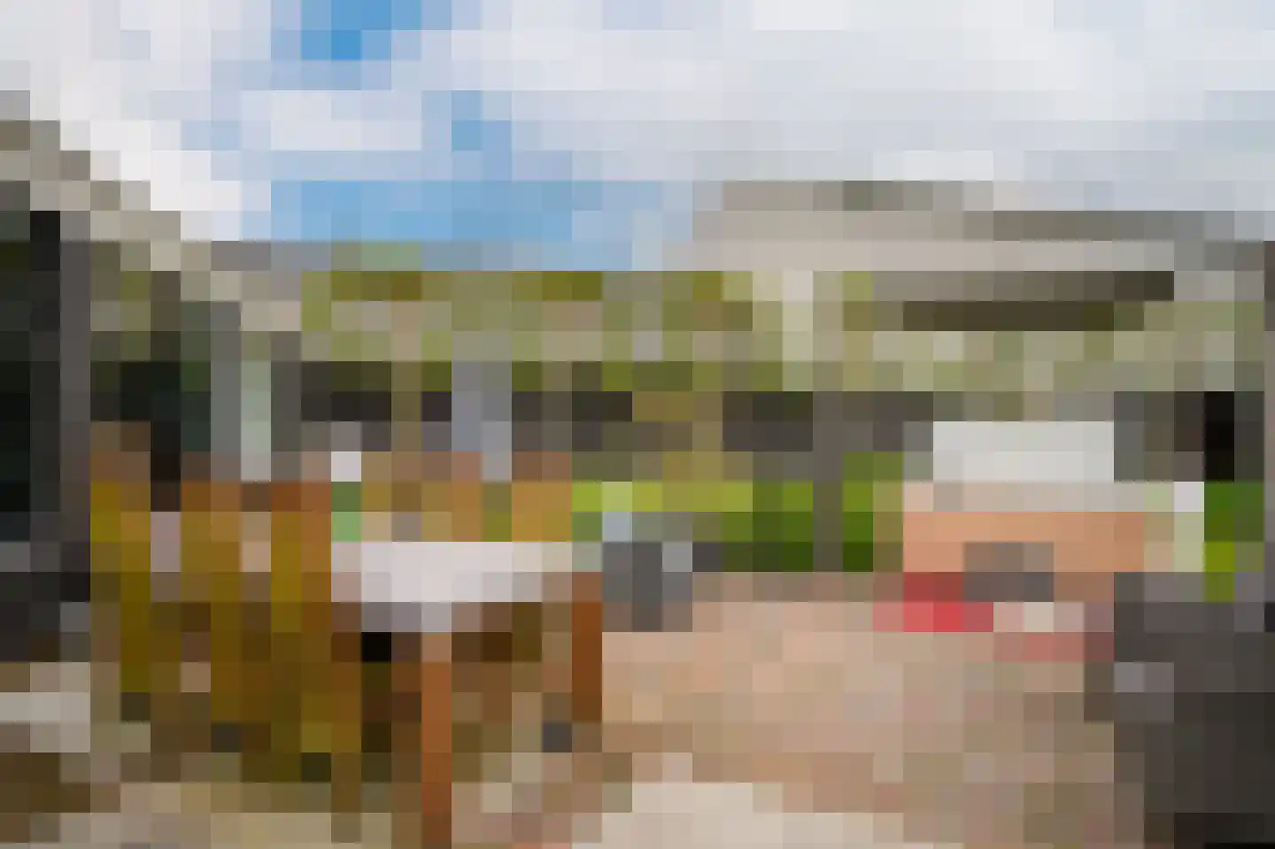Rooijsestraat 35 Dreumel thumbnail 37