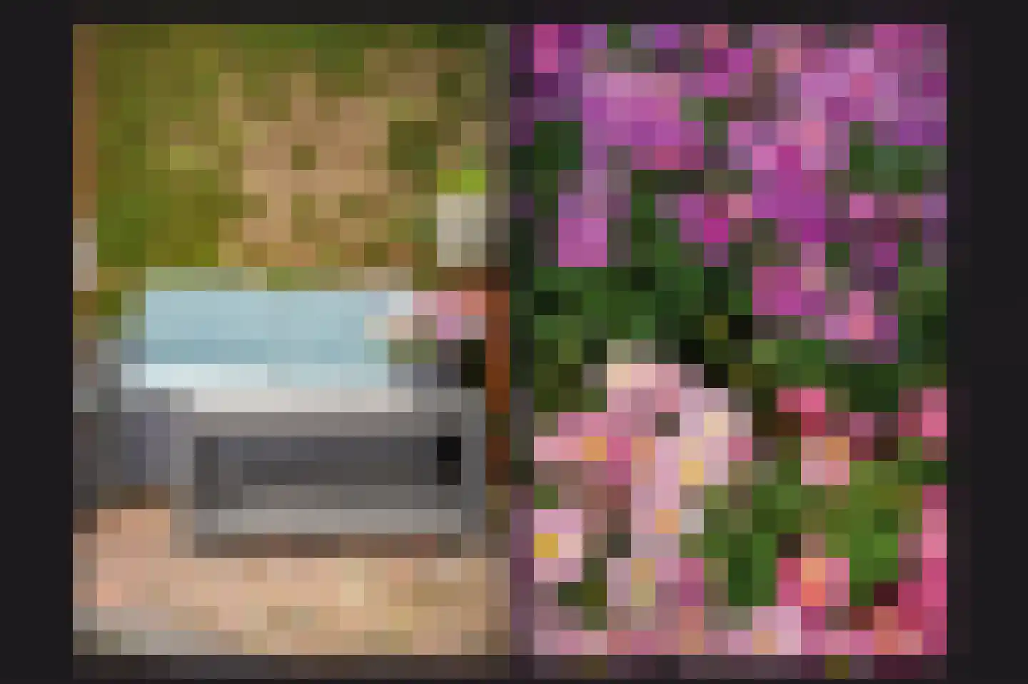 Rooijsestraat 35 Dreumel thumbnail 38