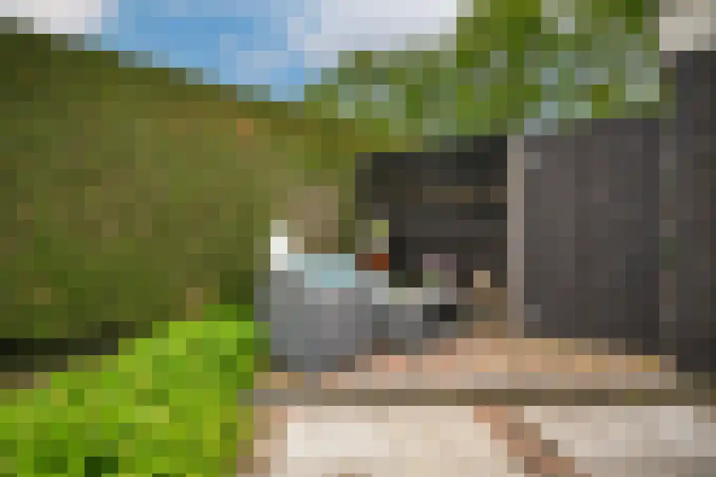 Rooijsestraat 35 Dreumel thumbnail 39