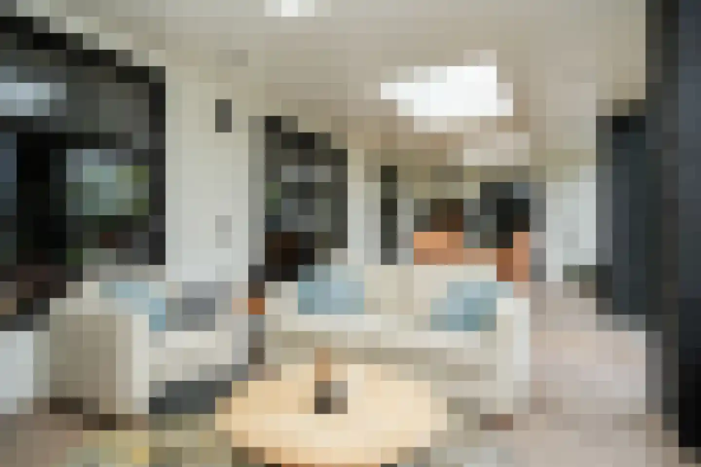 Rooijsestraat 35 Dreumel thumbnail 4