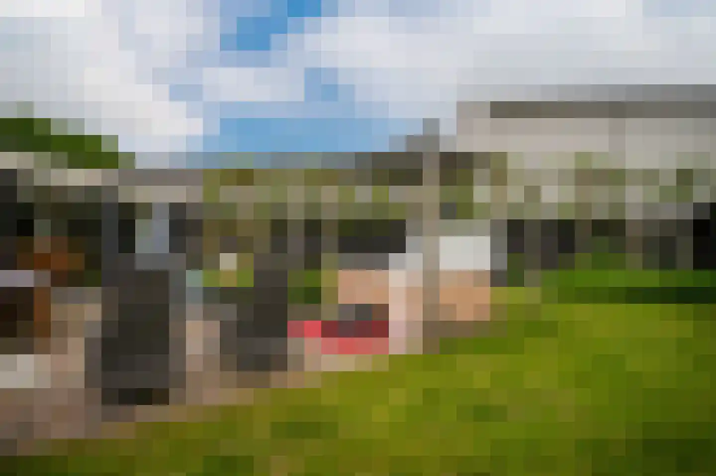 Rooijsestraat 35 Dreumel thumbnail 40
