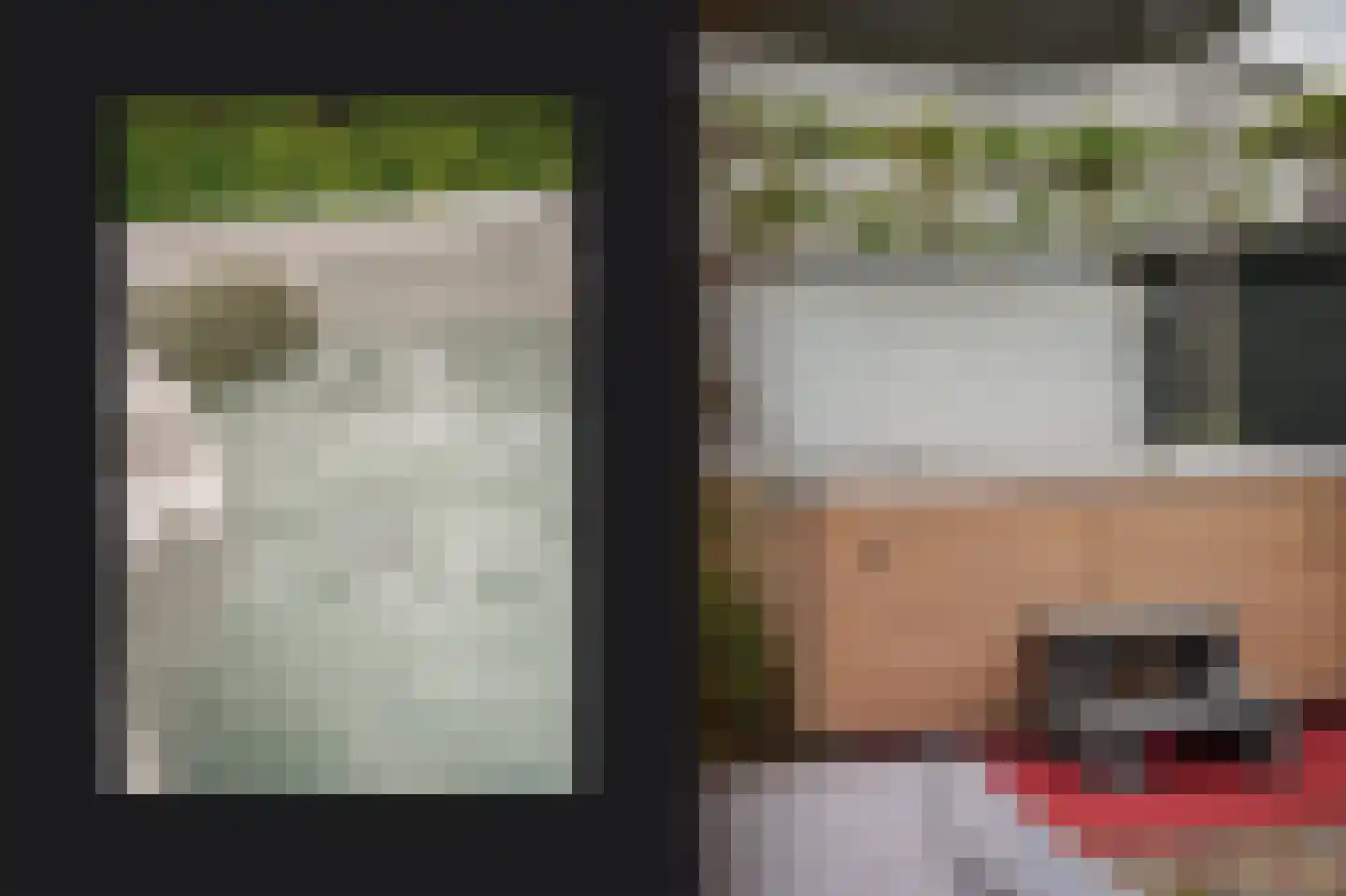 Rooijsestraat 35 Dreumel thumbnail 42