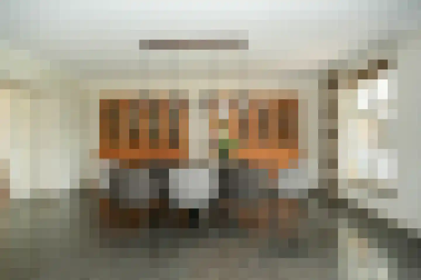 Rooijsestraat 35 Dreumel thumbnail 5