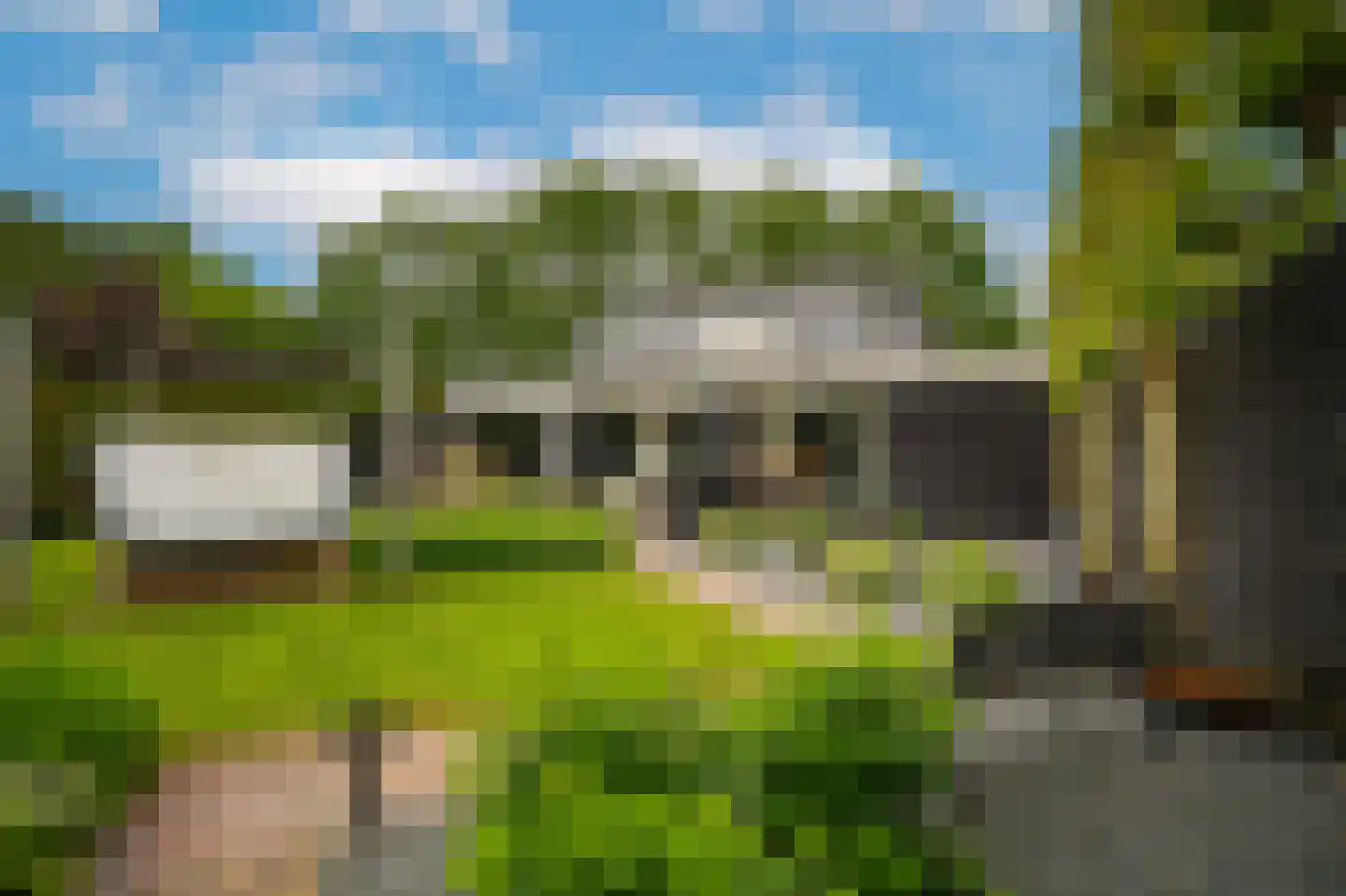 Rooijsestraat 35 Dreumel thumbnail 57