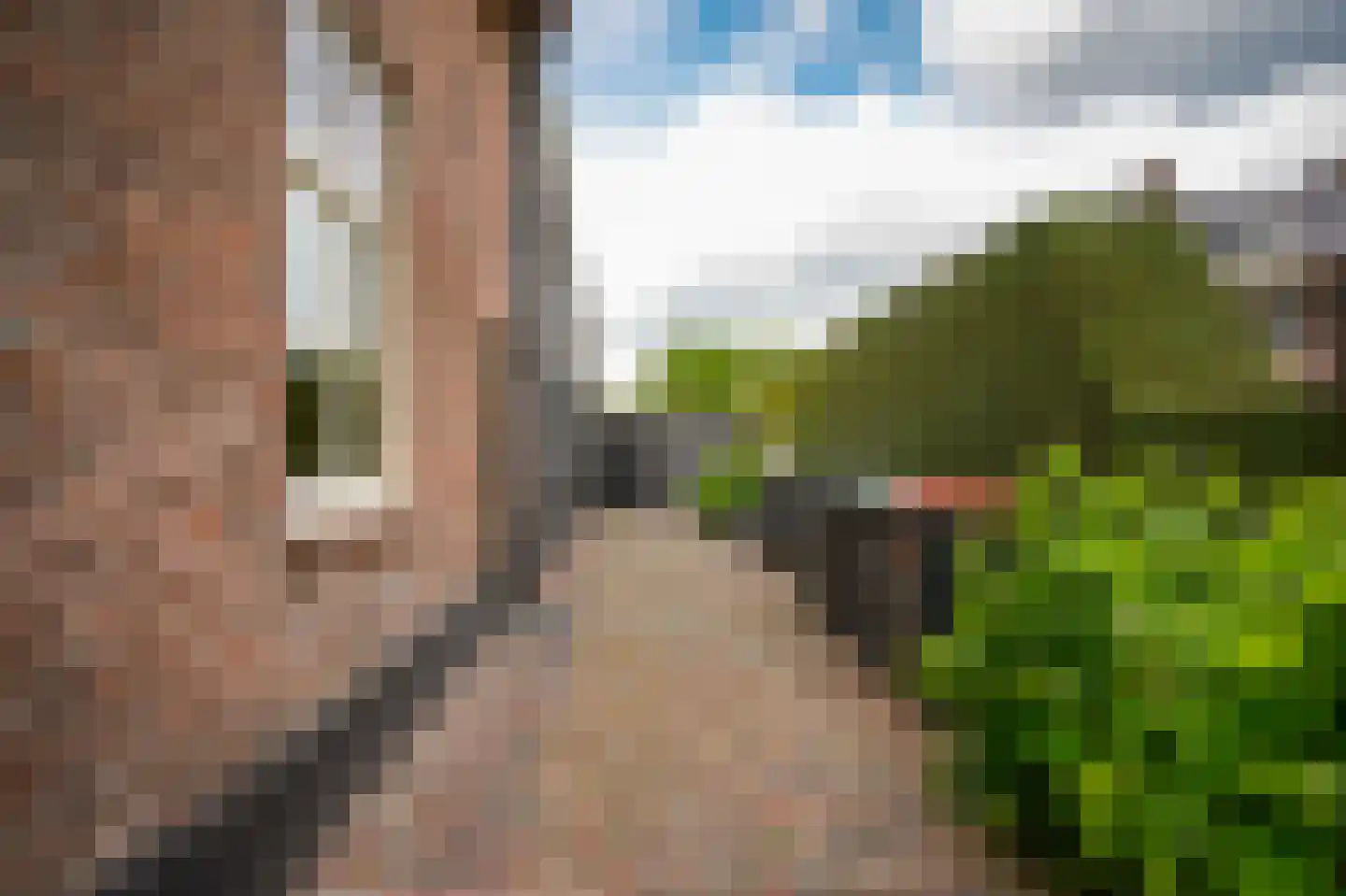 Rooijsestraat 35 Dreumel thumbnail 59