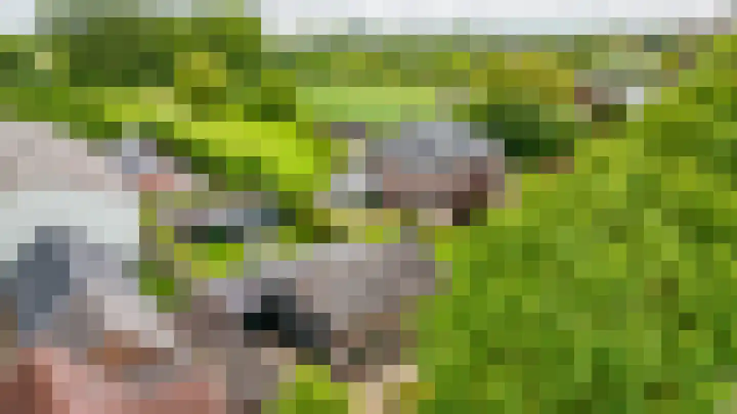 Rooijsestraat 35 Dreumel thumbnail 69