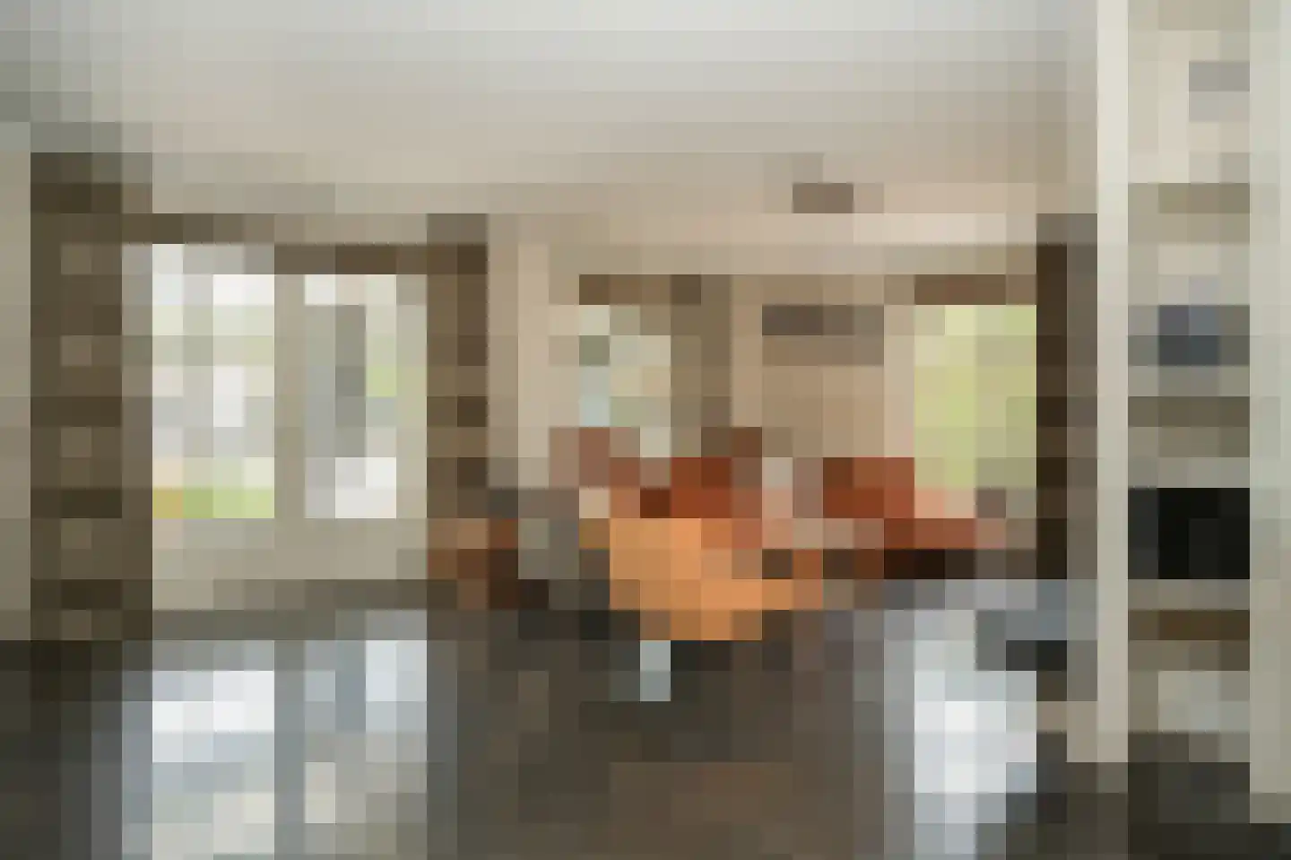 Rooijsestraat 35 Dreumel thumbnail 7