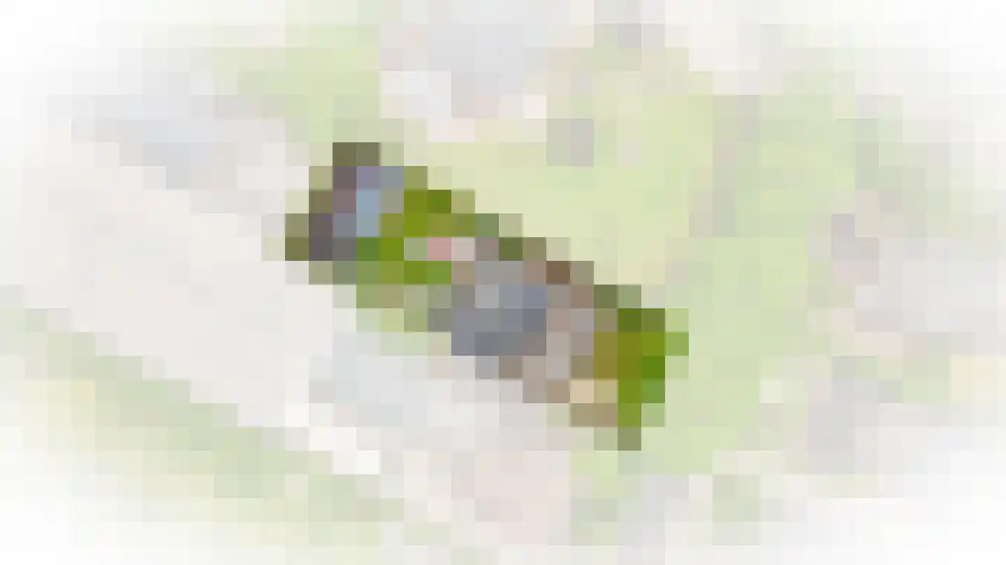 Rooijsestraat 35 Dreumel thumbnail 70