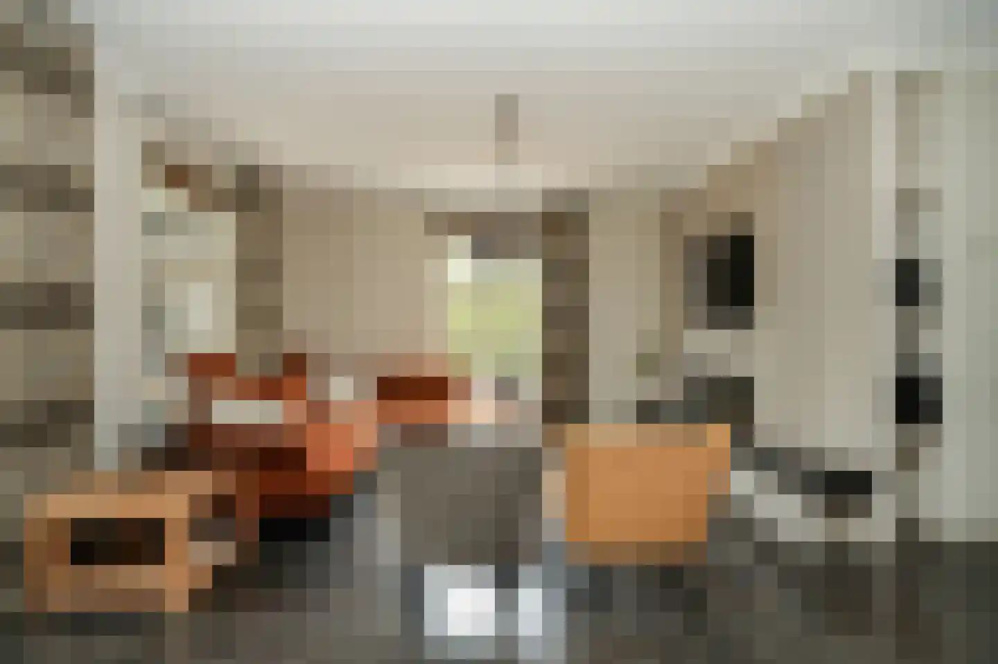 Rooijsestraat 35 Dreumel thumbnail 8