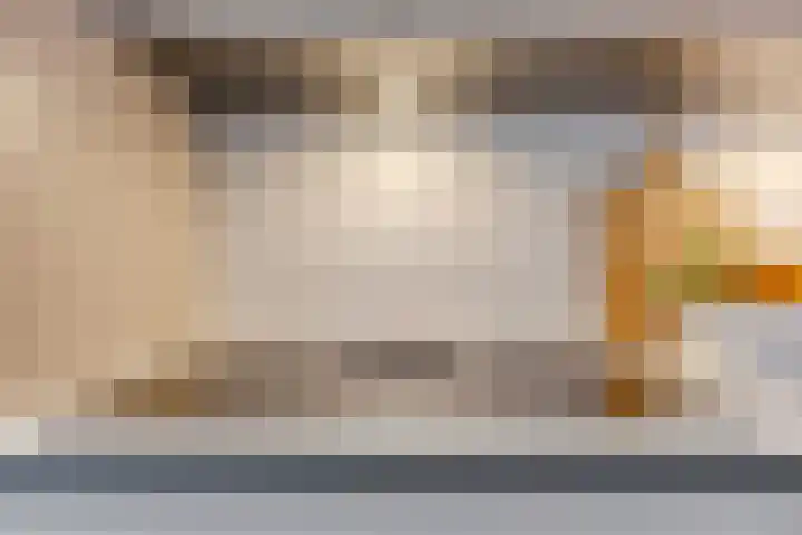 Rooijsestraat 39 Uden thumbnail 22
