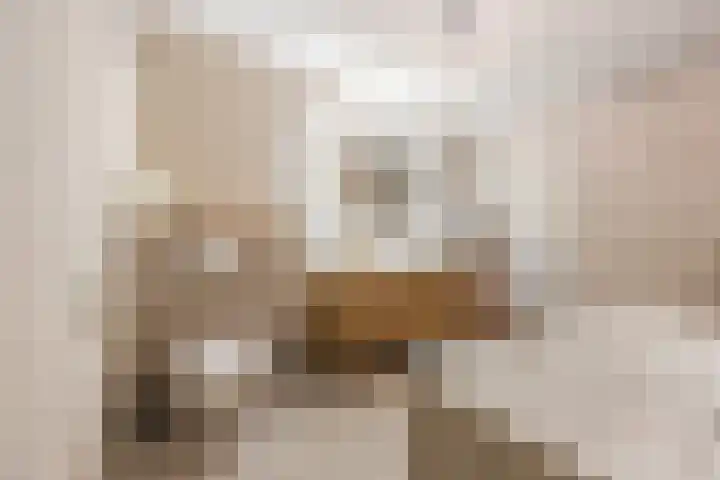 Rooijsestraat 39 Uden thumbnail 31