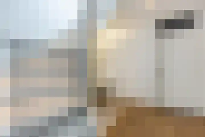 Rooijsestraat 39 Uden thumbnail 36