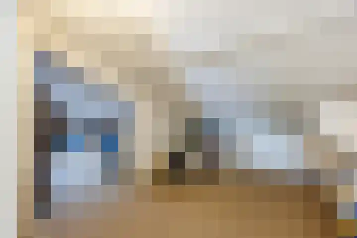 Rooijsestraat 39 Uden thumbnail 39