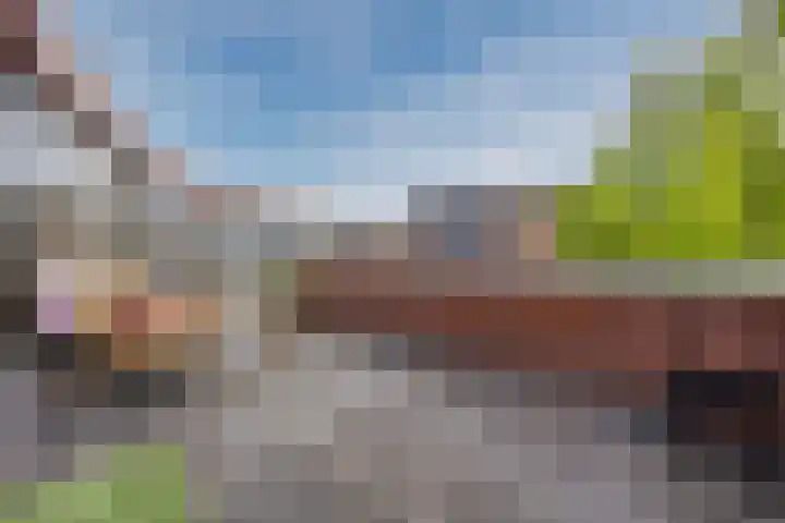 Rooijsestraat 39 Uden thumbnail 43