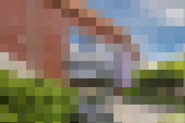 Rooijsestraat 39 Uden thumbnail 46