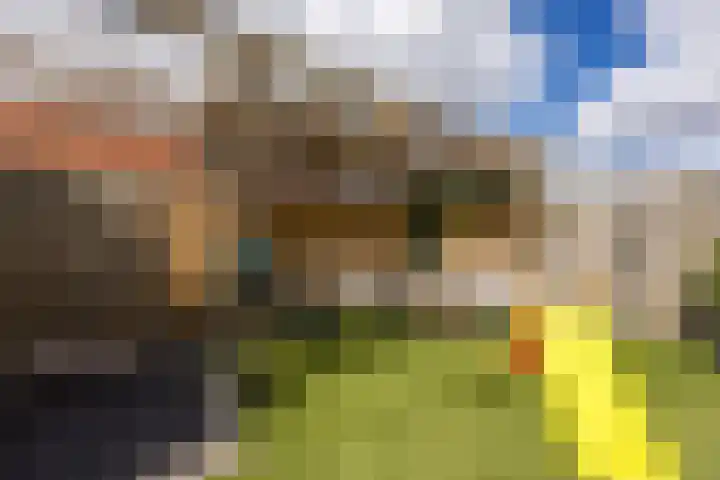 Rooijsestraat 39 Uden thumbnail 51