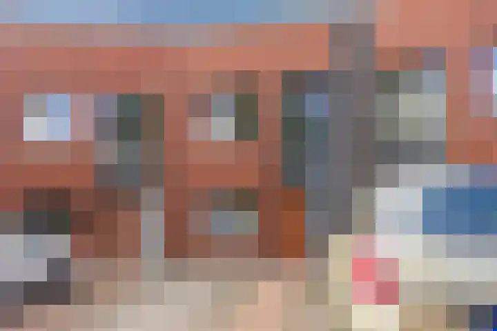 Rooijsestraat 39 Uden thumbnail 8
