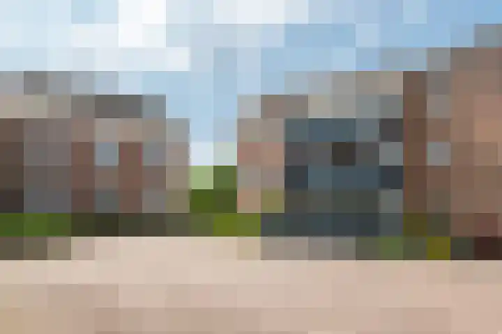 Rooijsestraat 46 04 Dreumel thumbnail 10