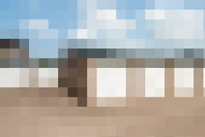 Rooijsestraat 46 04 Dreumel thumbnail 31