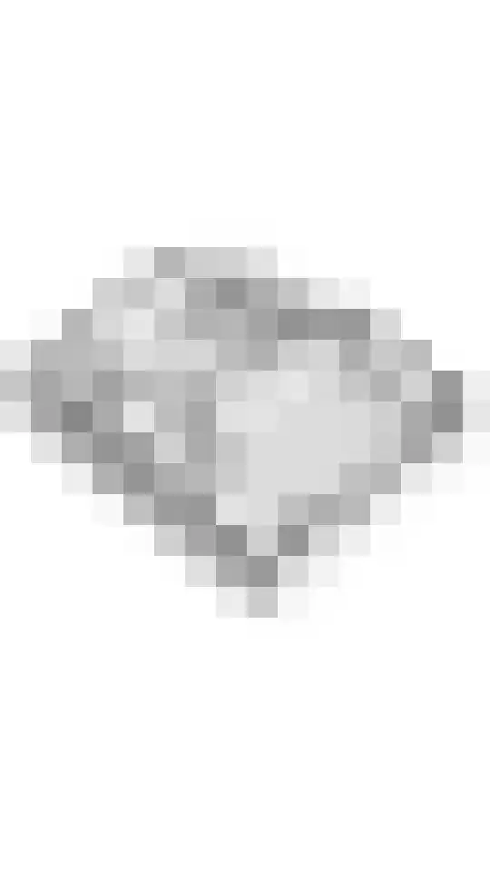 Rooijsestraat 46 04 Dreumel thumbnail 34